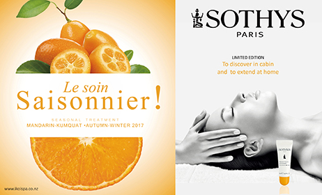 Seasonal Facial Treatment